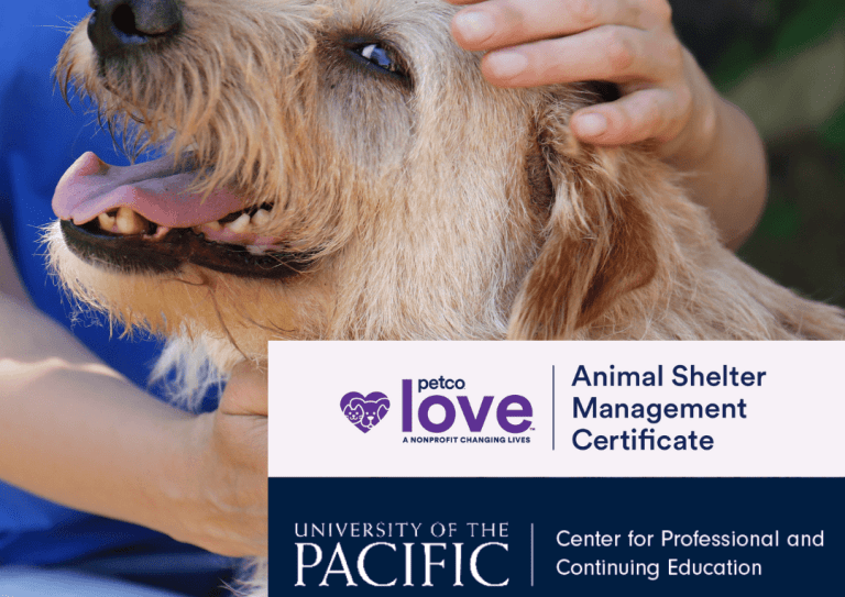 animal shelter logos